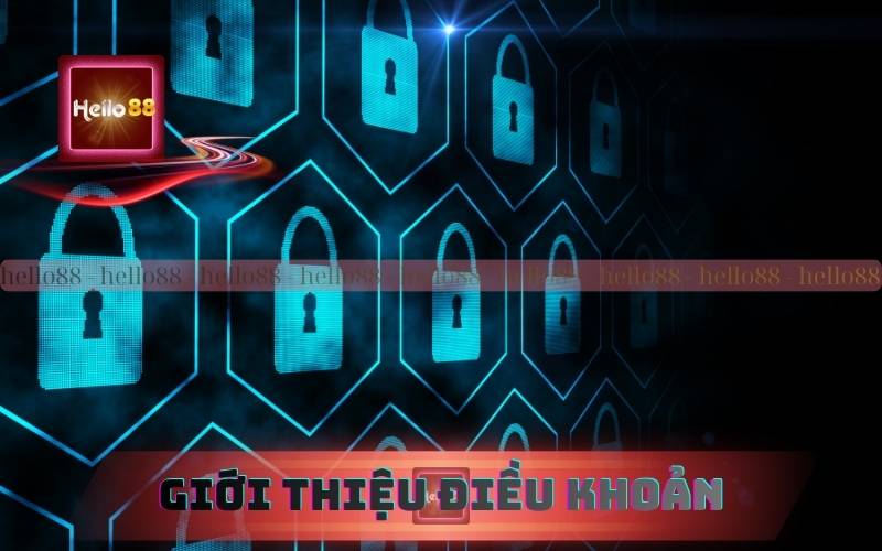 Giới thiệu về điều khoản và điều kiện 79King