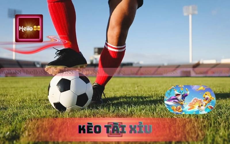 Bí Quyết Chơi Kèo Tài Xỉu Bóng Đá Hiệu Quả Tại Hello88