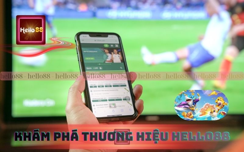 Khám phá về thương hiệu 79King