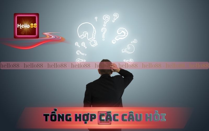 Tổng hợp những câu hỏi thường gặp trên 79King