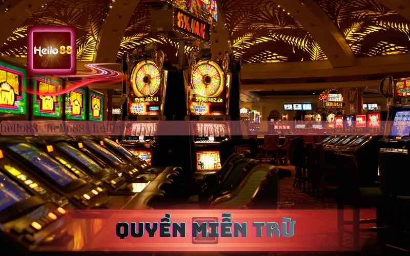 Trách nhiệm và quyền miễn trừ tại 79King